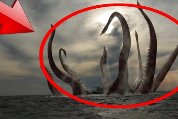 Kraken россия